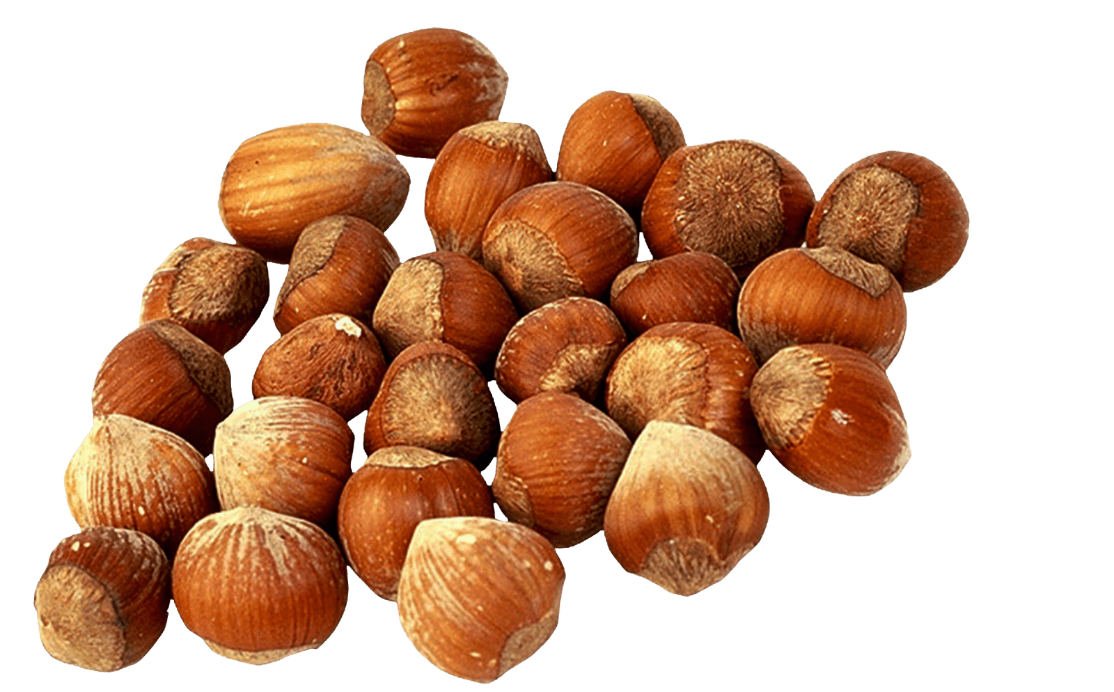  Кедровые орешки