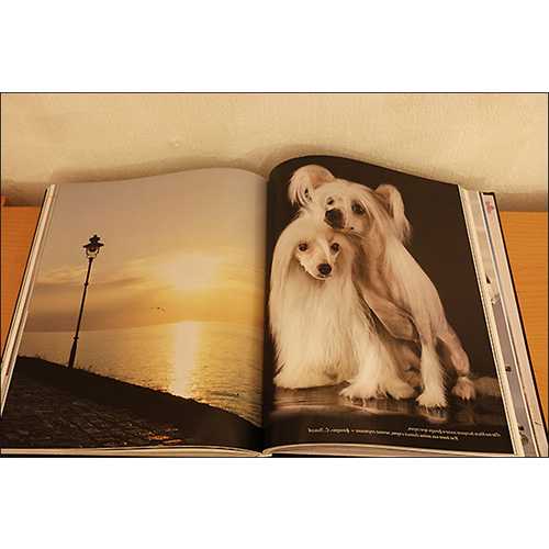 Книга о собаках
