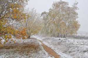 Покров День