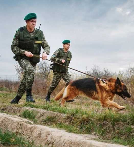 Пограничник