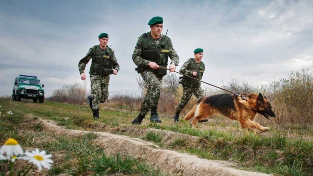 Пограничники