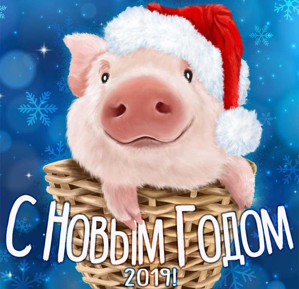 Год Кабана 2019